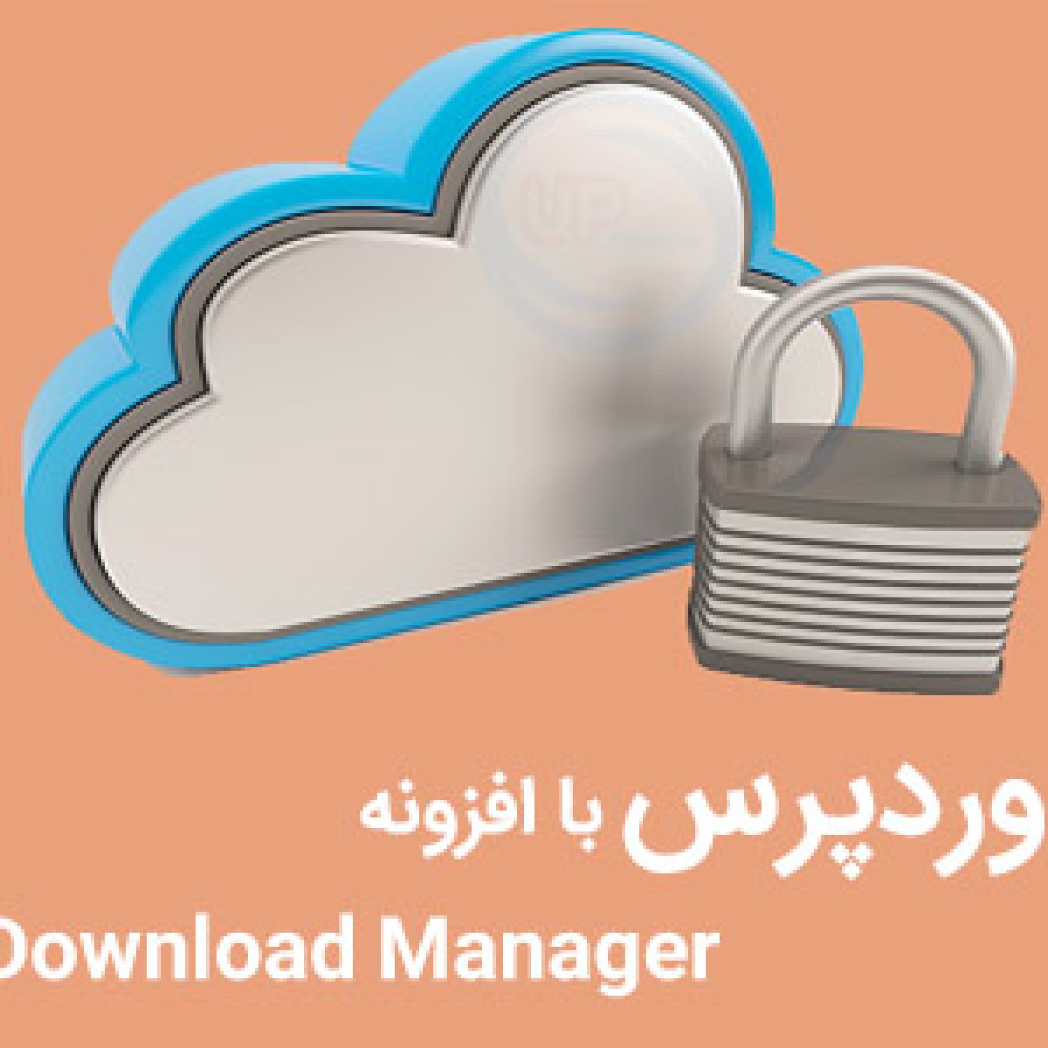 افزونه ordPress Download Manager