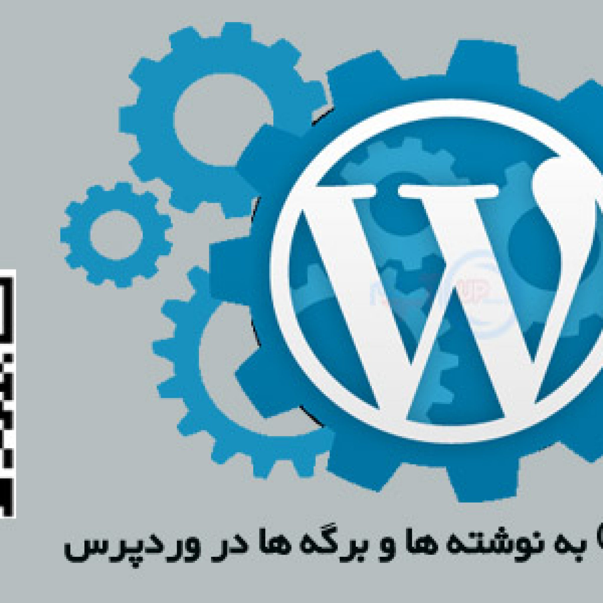 استفده از کد QR در وردپرس