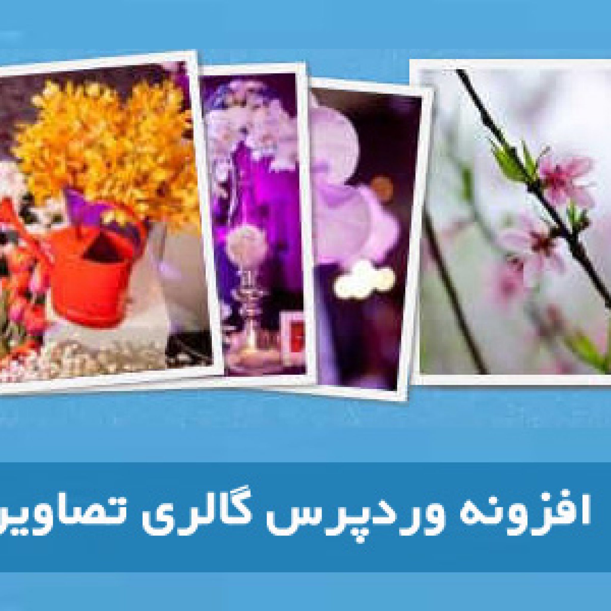 افزونه gallery-bank