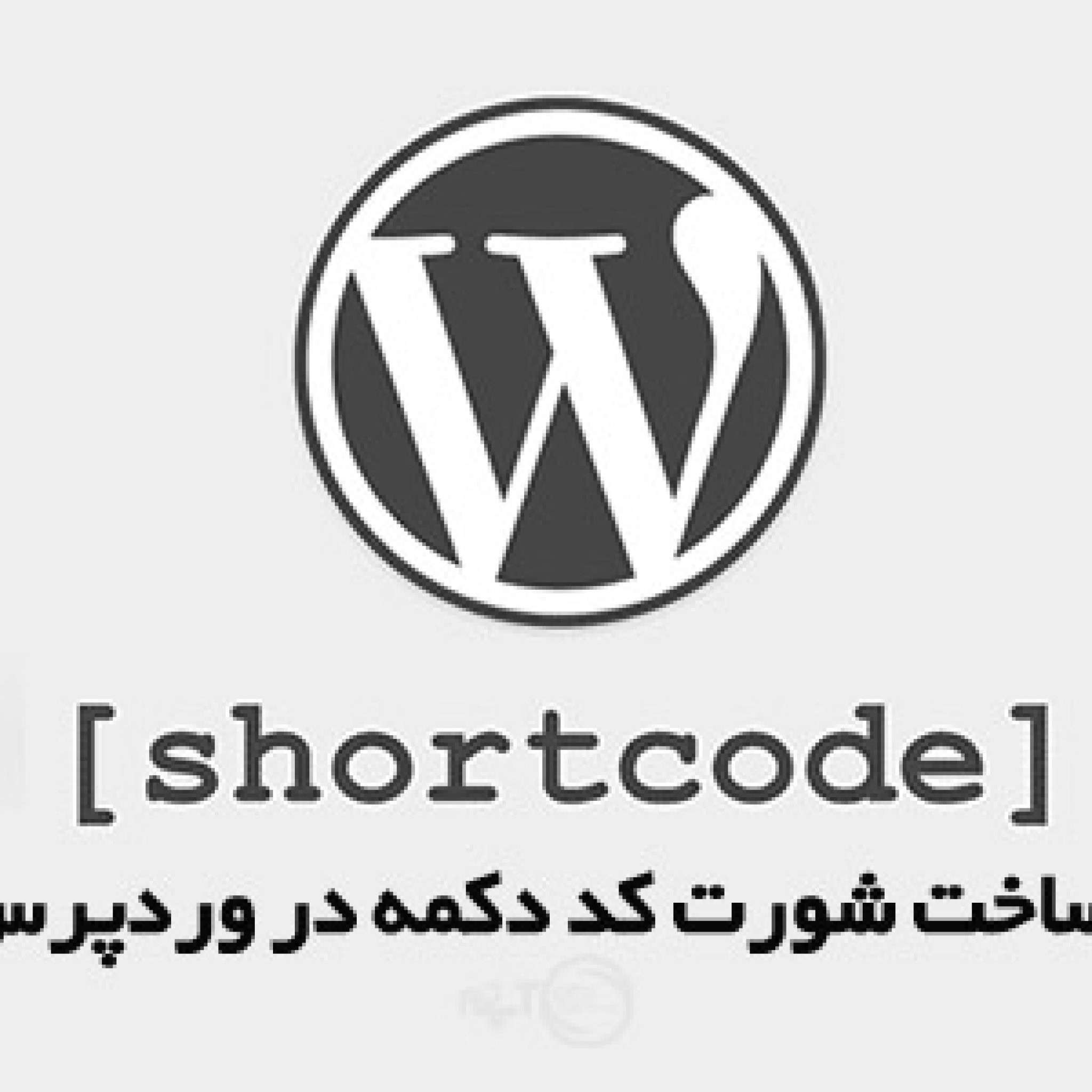 کد دکمه های زیبا برای وردپرس